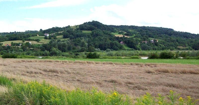 Widok na Rychwałd/Wał