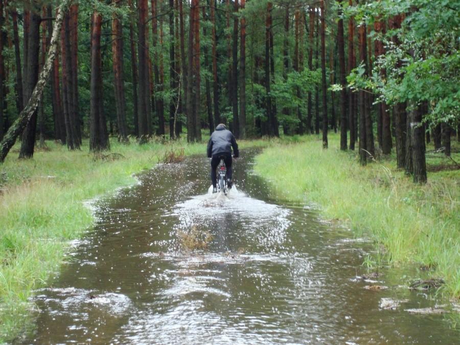 Oznakowana droga rowerowa w porze deszczowej :)