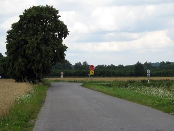 Gdzieś w okolicy Stryjna