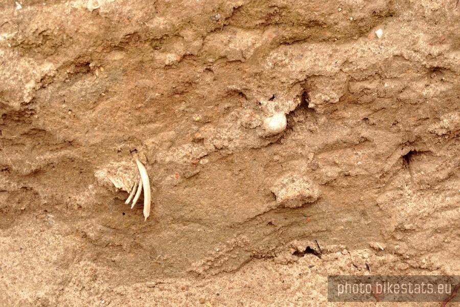 Wykopaliska archeologiczne przy kościele w Gniewie.