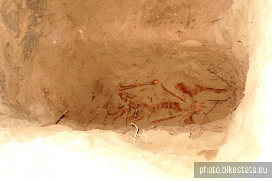 Wykopaliska archeologiczne w kościele w Gniewie.