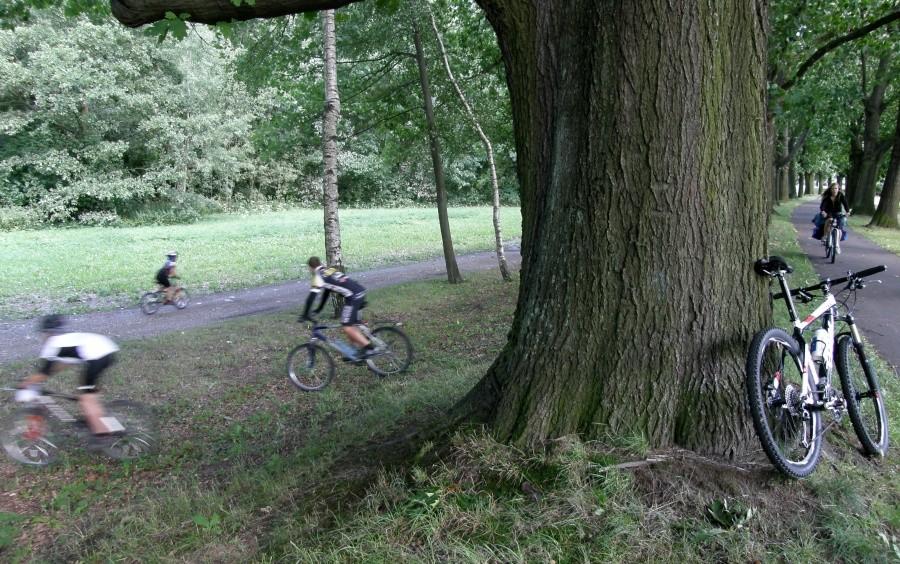 Inni szaleją na skarpie :)