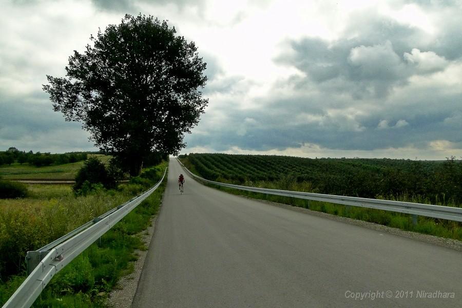 Piotrek wśród bezkresnych sadów
