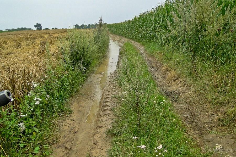 woda z nieba i woda pod kołami