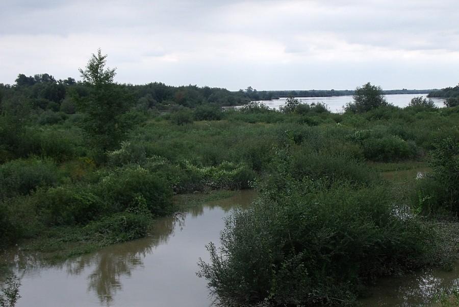 Wisła troche rozlała