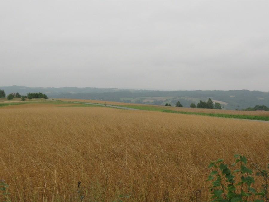 Widok z górek nad Chmielnikiem.