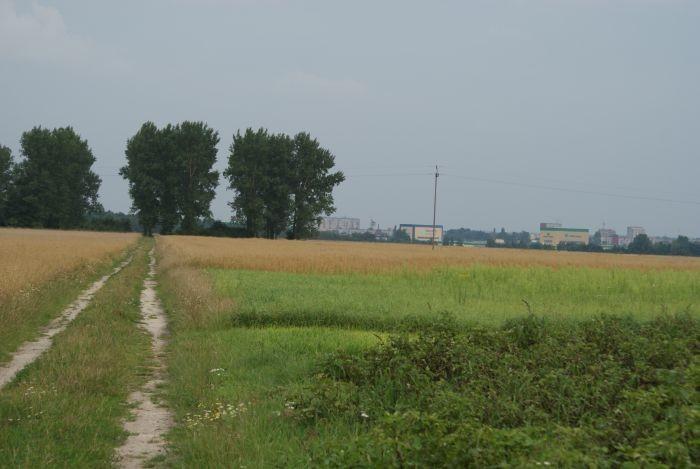 widok na Tomaszów od strony Cekanowa