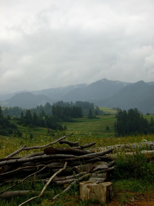 Widok na Pieniny i Małe Pieniny ze szlaku na Dzwonkówkę