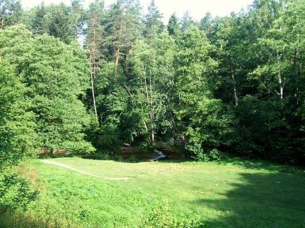 Szumi na Tanwi widziane sprzed mojego namiotu