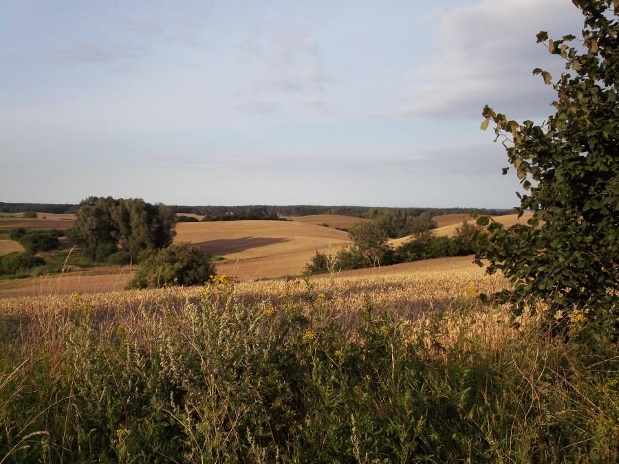 Okolice Brzuść