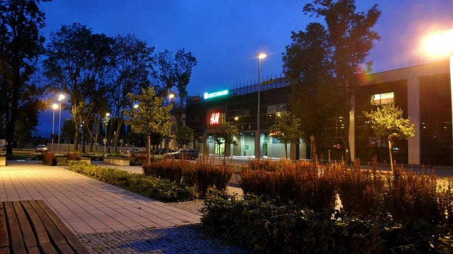 Galeria Zielona