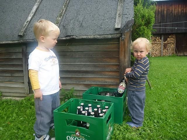 Sekcja juniorów