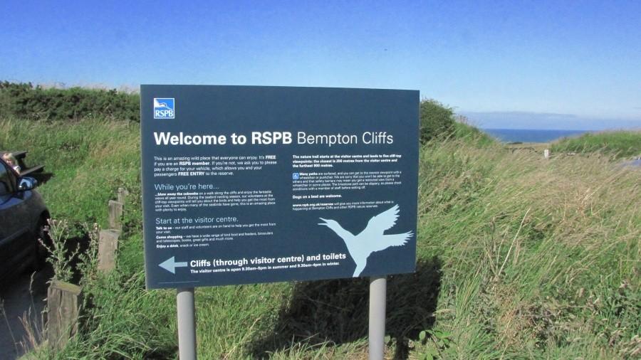 Bempton Cliffs