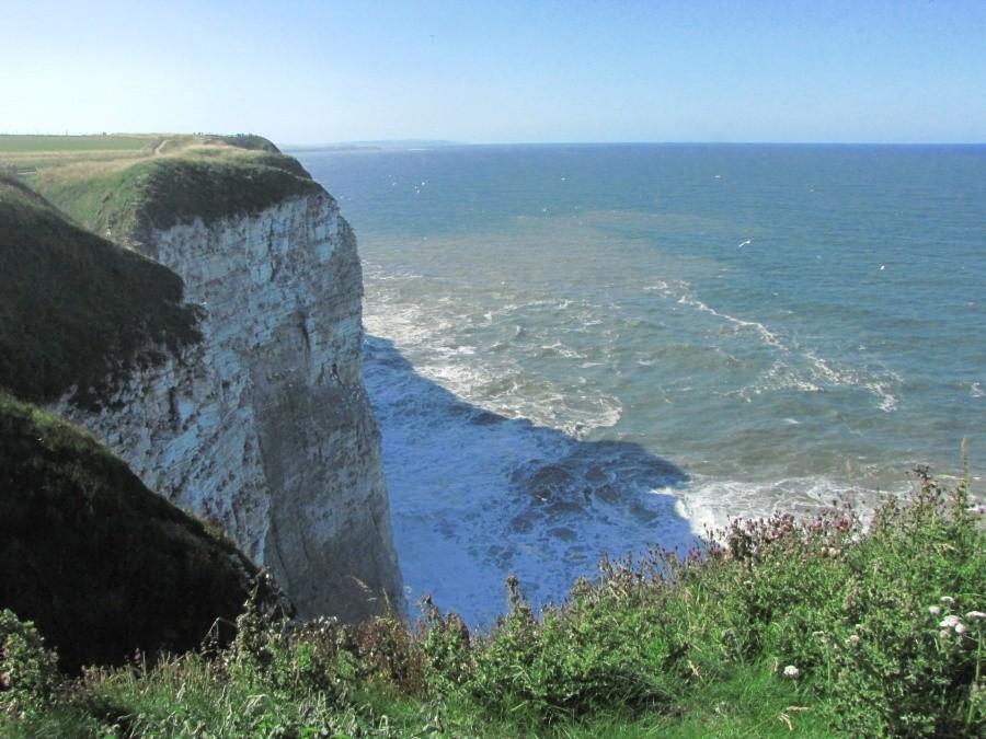 Bempton Cliffs