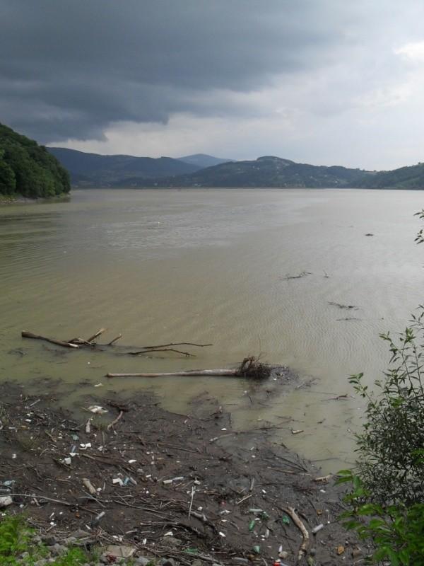 Zamulone, zaśmiecone Jezioro Rożnowskie :-(