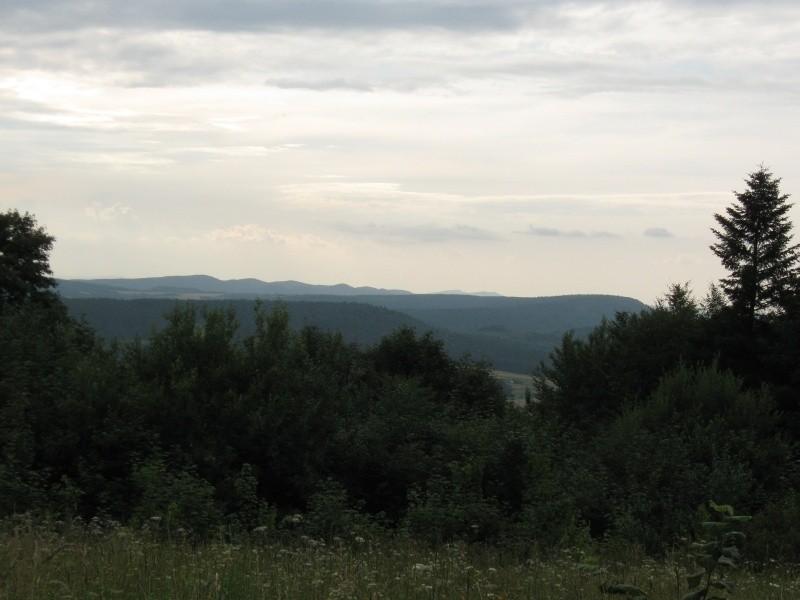 Górek ci u nas dostatek.