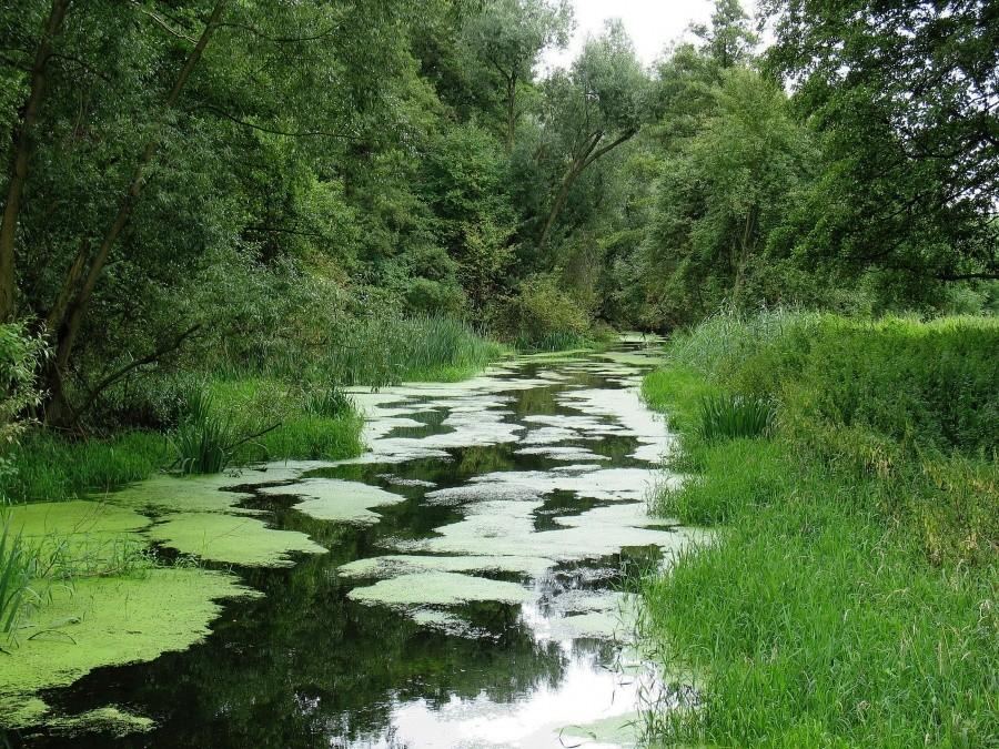 Wilanówka