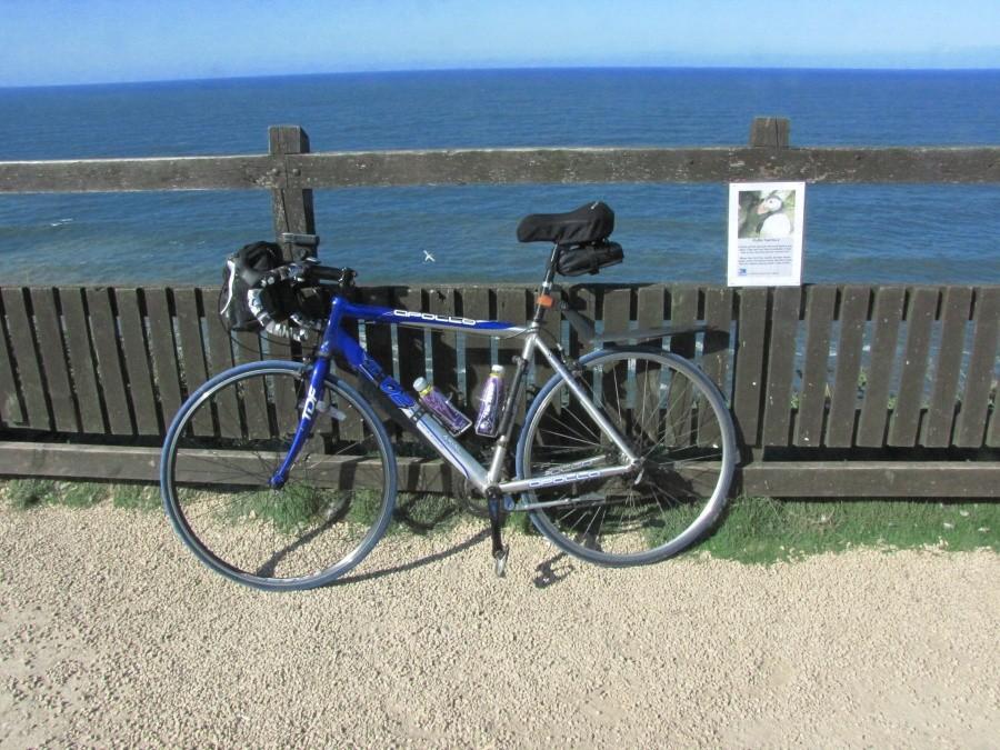 Bempton Cliffs, North Sea, Bridlington