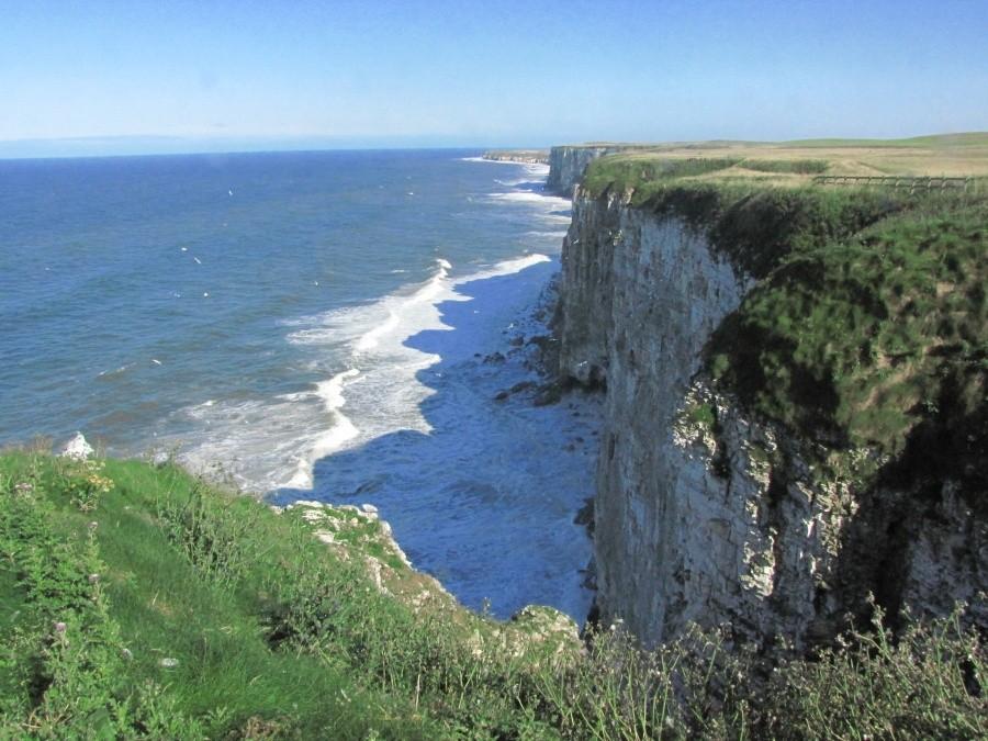 Bempton Cliffs