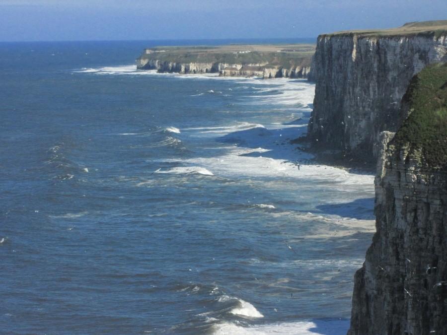 Bempton Cliffs, North Sea, Bridlington