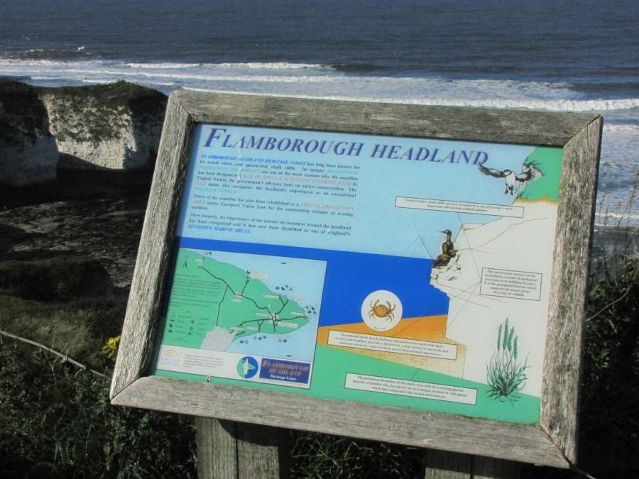 Flamborough Head