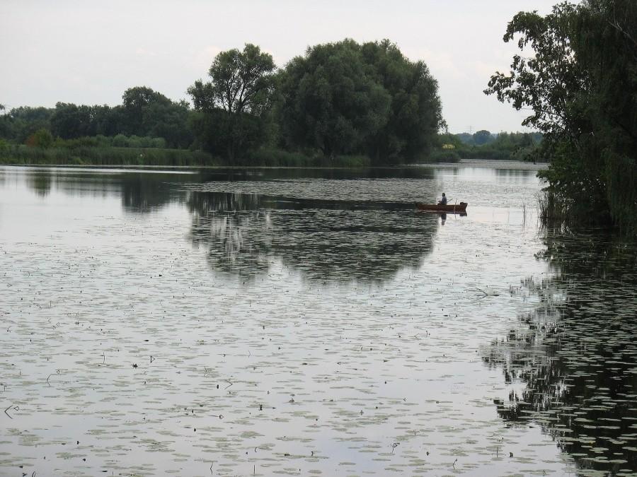 Jezioro Powsinkowskie