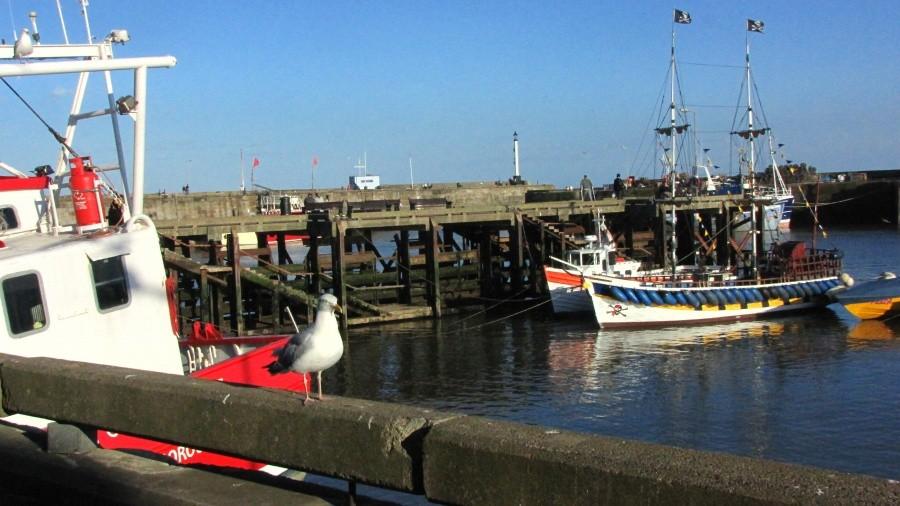 Bridlington Marina