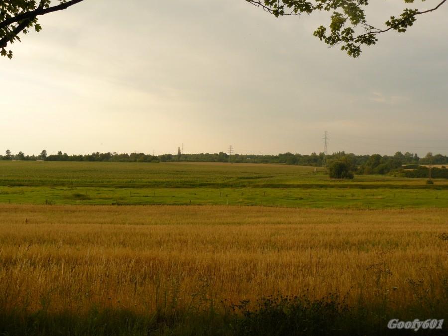 Widoczek z ul. Leśnej.