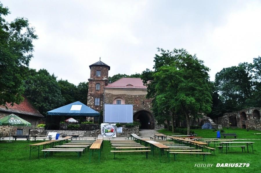 Zamek w Toszku