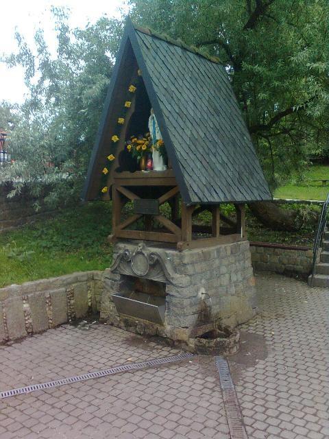 źródełko młodości