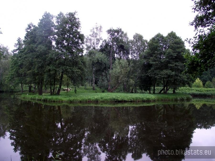 Zalesie Górne - wyspa na stawie