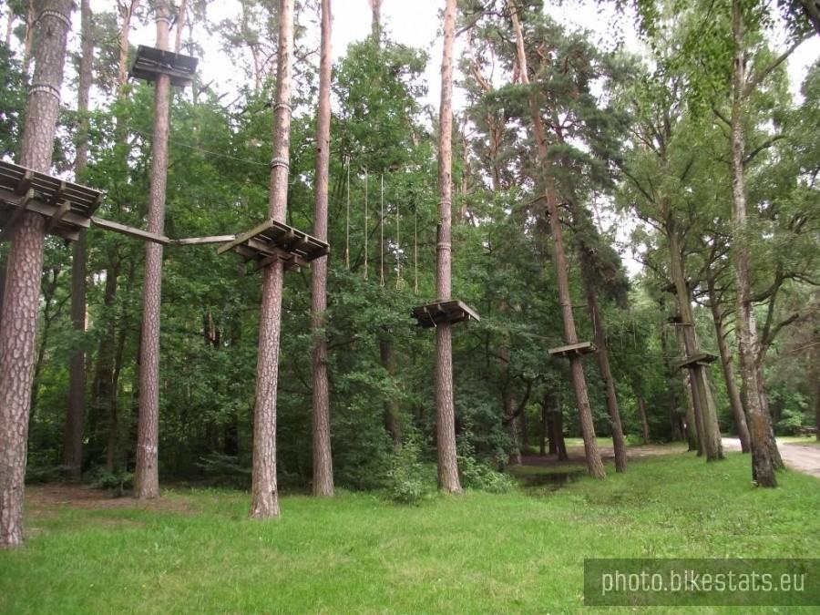 Zimne Doły - park linowy "Małpi Gaj"