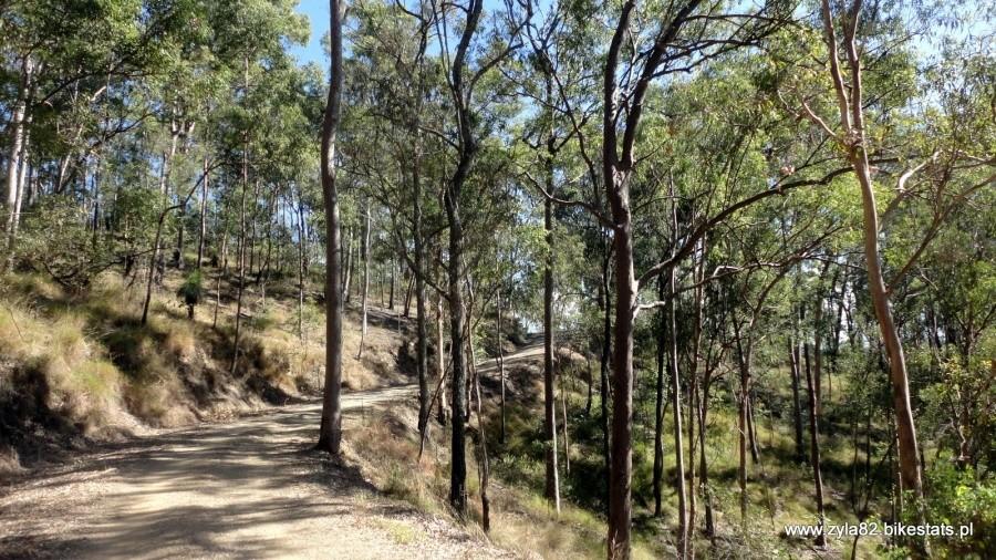 Brisbane Forest Park