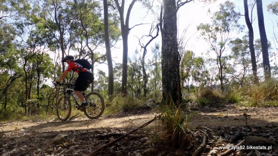 W Brisbane Forest park I