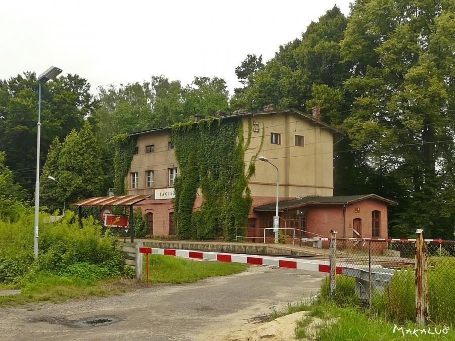 Taciszów - stacja zagubiona w lesie