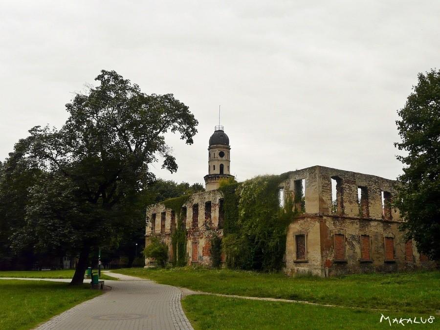 Ruiny zamku w Strzelcach Opolskich
