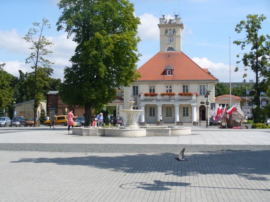Rynek w Błoniu z gołębiem