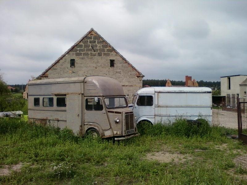 Bus i furgon