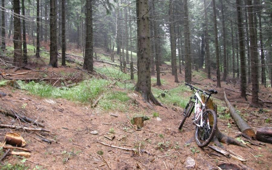 Skończyła mi się ścieżka ...