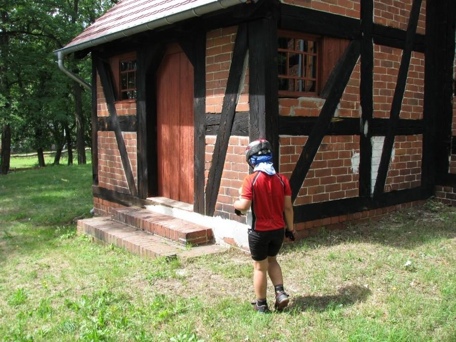 Gdzie są te koniki polne...