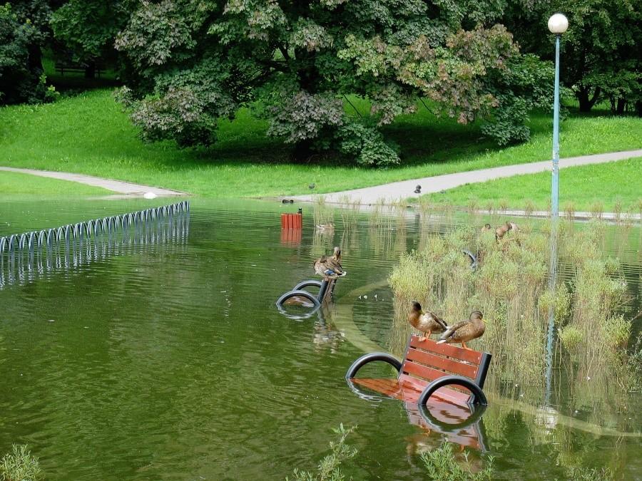 Podtopiony Park Szczęśliwicki