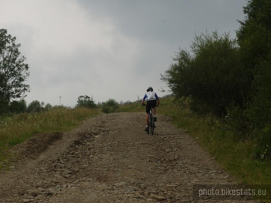 pgóreczki w Radocynie