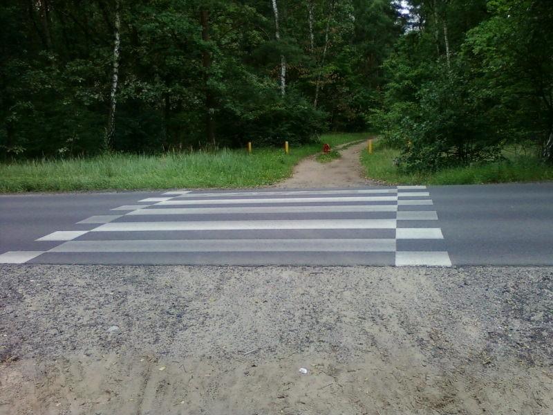 Przejścioprzejazd