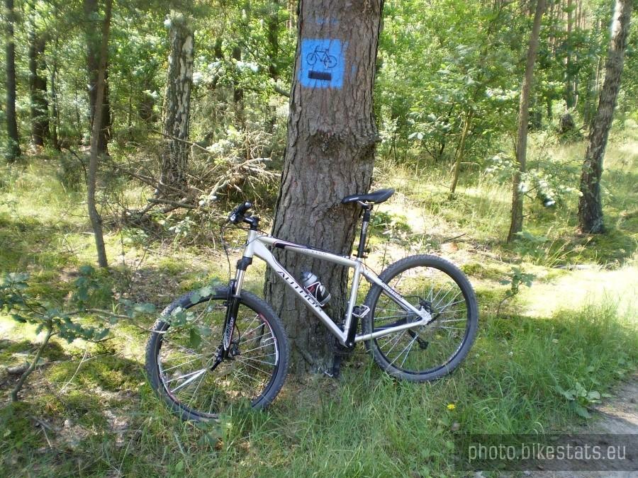 Oznakowanie Dużego Pierścienia Rowerowego