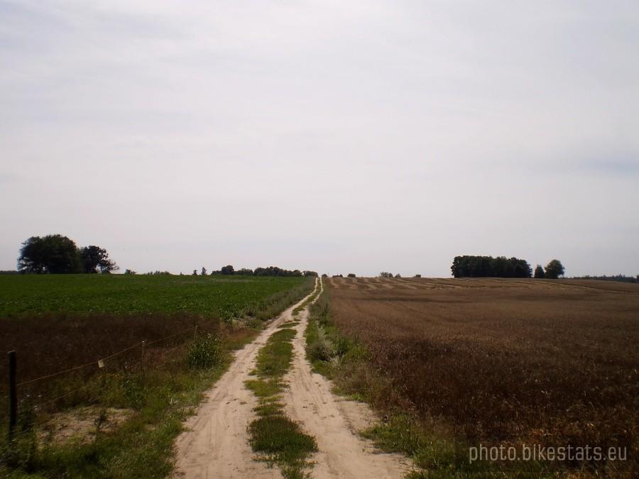 Góra Zamkowa