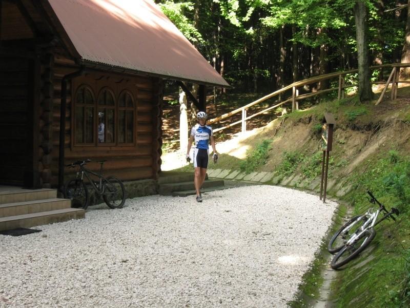 Przerwa przy wodopoju- Przylasek.