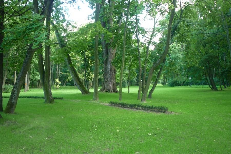 Park w Młochowie