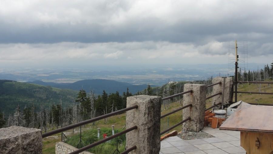 z odrodzenia