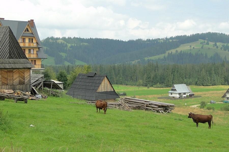 Widoczek z Murzasichle