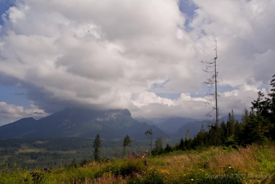 widok na Tatry Bielskie